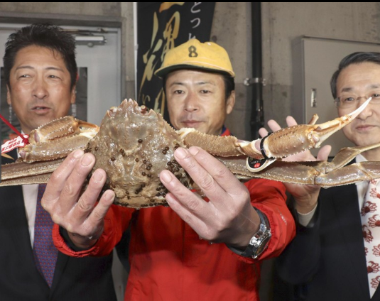 令人垂涎！日本螃蟹500万 但是你知道吗？这些情况下不能吃螃蟹