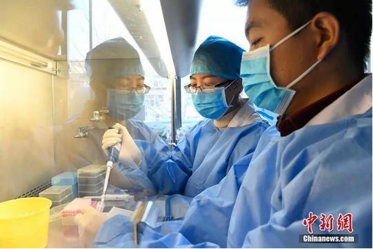资料图：山西省太原市疾控中心，微生物检验人员检测医院送来的样本。韦亮 摄