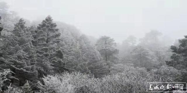 轿子雪山下雪啦！冰瀑、雾凇宛如仙境4.jpg