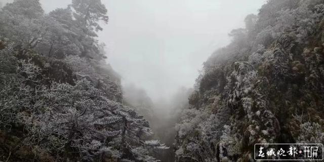 轿子雪山下雪啦！冰瀑、雾凇宛如仙境5.jpg