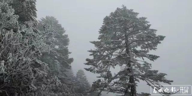 轿子雪山下雪啦！冰瀑、雾凇宛如仙境2.jpg