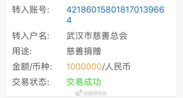 众志成城！痛仰乐队向武汉市慈善总会捐款100万