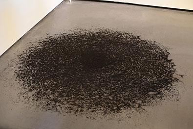 科学破坏狂之神秘的蚂蚁死亡漩涡